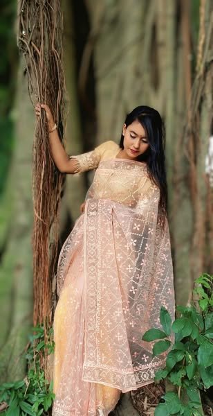 organza saree